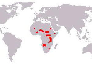 Karta giraffens utbredningsomrde